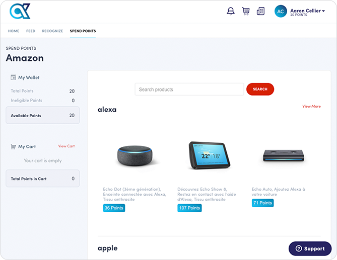 Ineligible Points 2.png