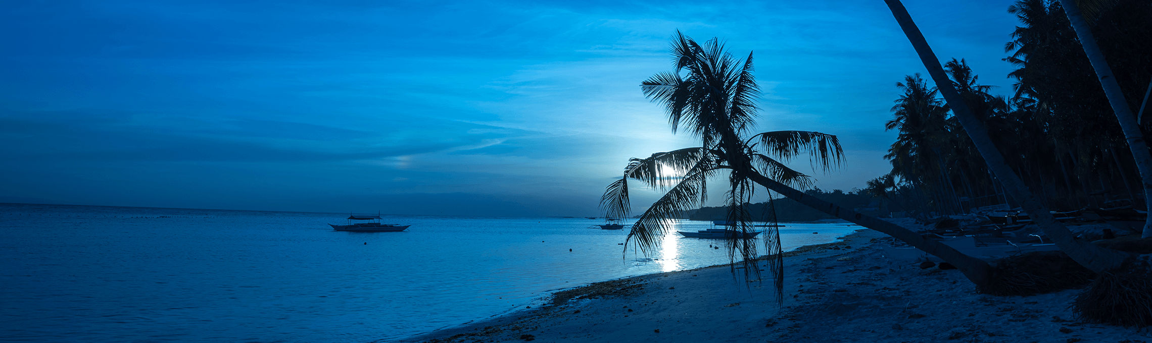 beach-night.png