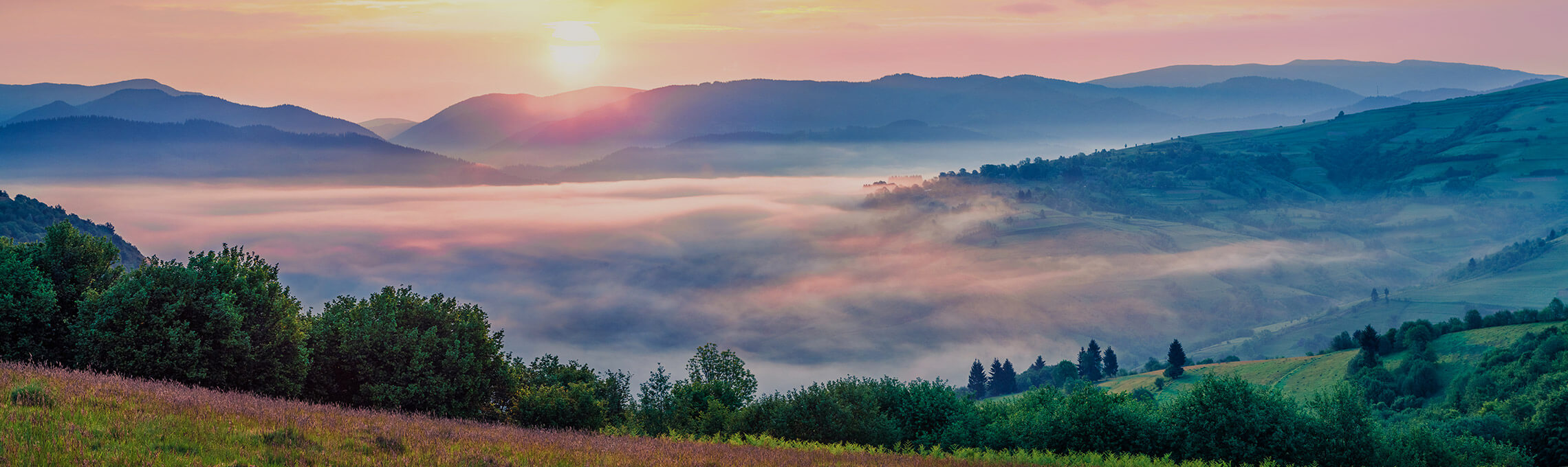 landscape-morning.jpg