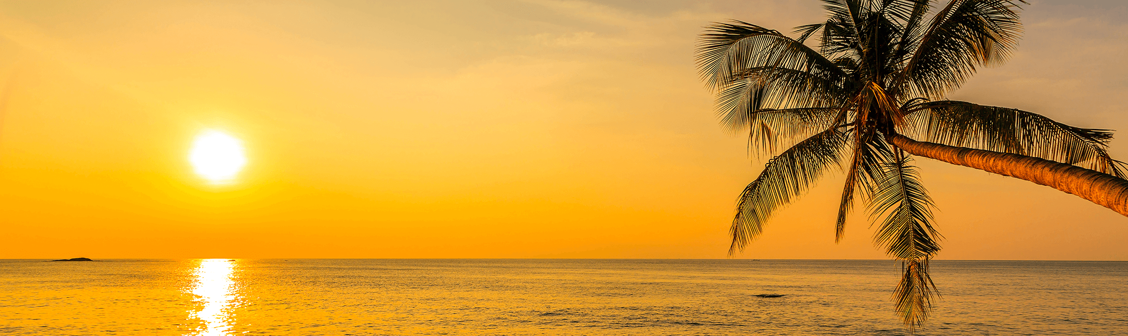 beach-morning.png