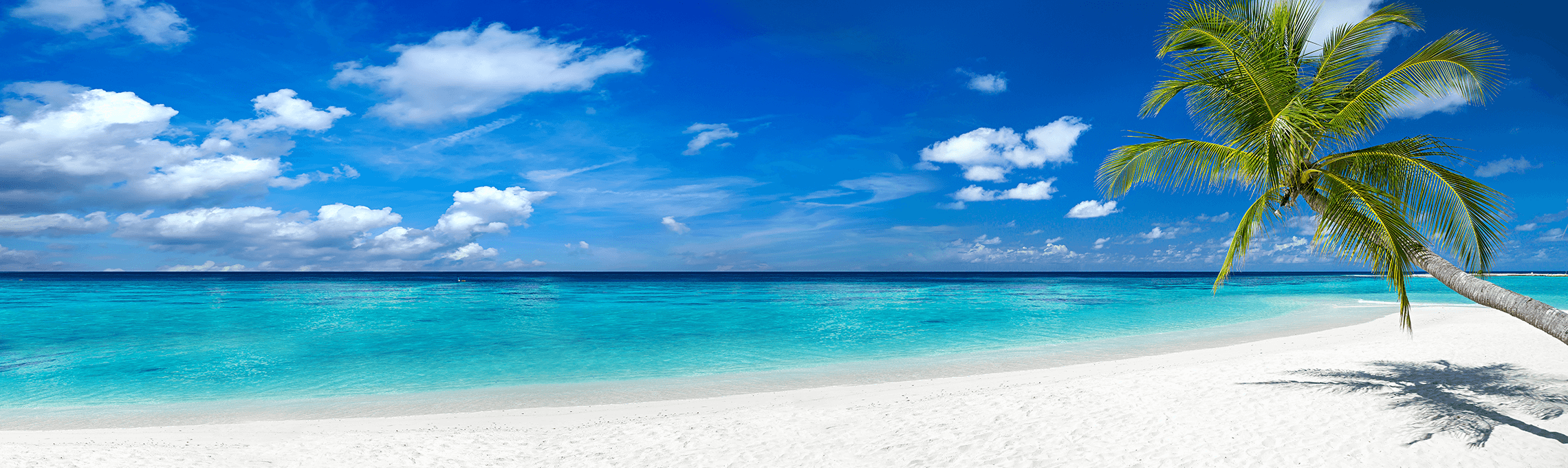 beach-afternoon.png