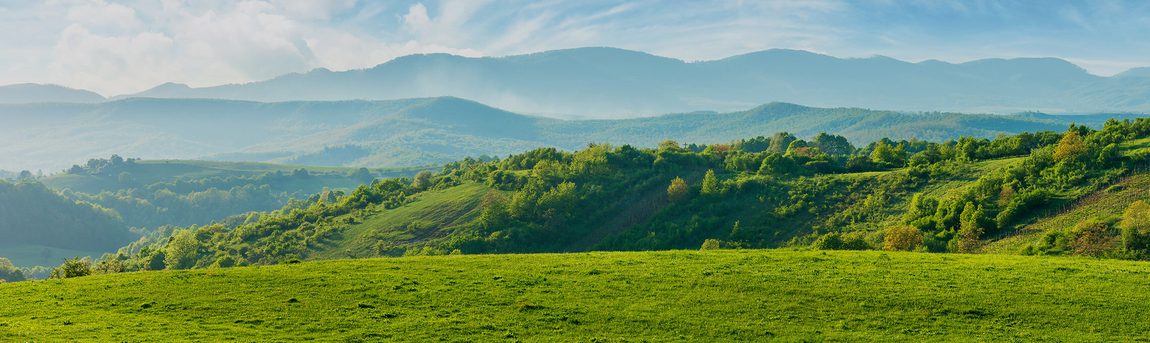 landscape-afternoon.jpg