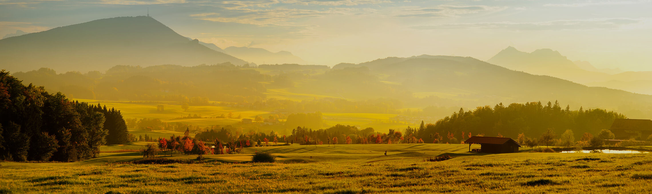 landscape-evening.jpg
